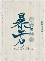 穿成暴君的男妃小说