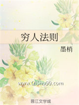穷人法则小说