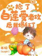 抢了白莲受老攻后我爆红了小说