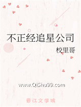 不正经追星公司小说