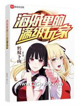 海贼里的满级玩家小说