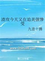 渣攻今天又在追美强惨受小说