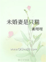 未婚妻是只猫小说