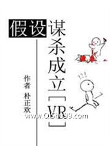 假设谋杀成立小说