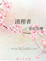 清理者小说