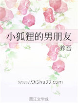 小狐狸的男朋友小说