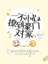 一不小心撩到豪门对家小说