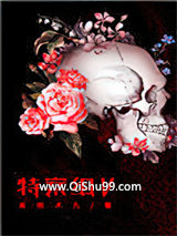 特殊案件调查组Ⅴ小说