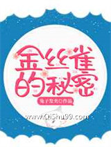 金丝雀的秘密小说