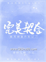 被男神意外标记了小说