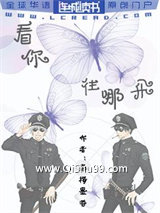 看你往哪飞小说