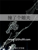 撞了个媳夫小说