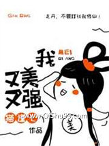 她又美又强小说