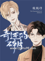 奇迹的碎片小说