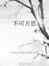 不可方思小说