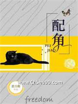 配角小说