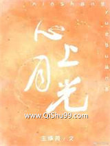 心上月光小说