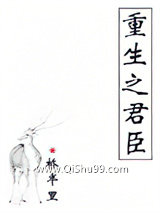 重生之君臣小说