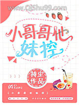 小哥哥他妹控小说