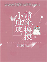 请你摸摸小肚皮小说