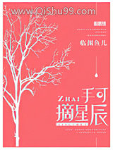 手可摘星辰小说