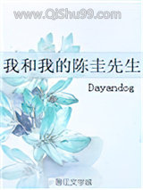 我和我的陈圭先生小说