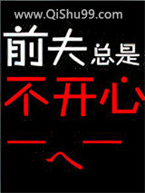 前夫总是不开心小说