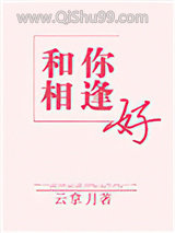 和你相逢好小说