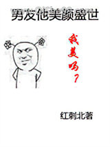 男友他美颜盛世小说