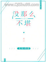 没那么不堪小说