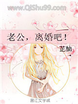 老公,离婚吧!小说