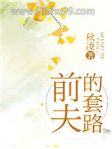前夫的套路小说