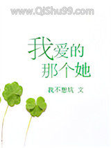 我爱的那个她小说