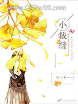 小裁缝小说