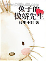 兔子的傲娇先生小说