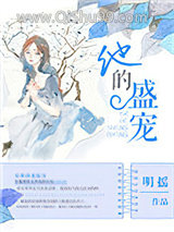他的盛宠小说