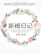 新婚日记小说