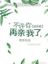 不许你再亲我了[娱乐圈]小说