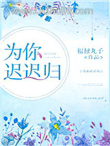 为你迟迟归小说