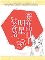 被各路明星圈养的日子小说