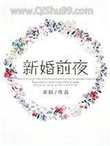 新婚前夜小说