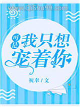 可是,我只想宠着你小说