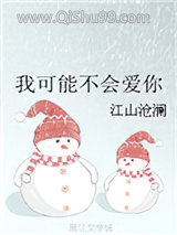 我可能不会爱你小说