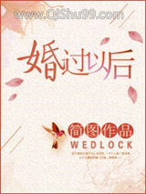 婚过以后小说