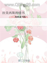 拉美西斯的情书小说