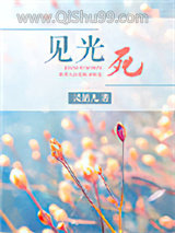 见光死小说