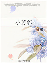 小芳邻小说