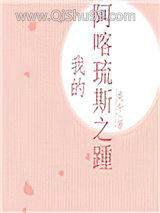 我的阿喀琉斯之踵小说