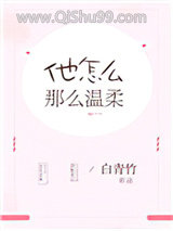他怎么那么温柔小说