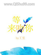 等光来吻你小说